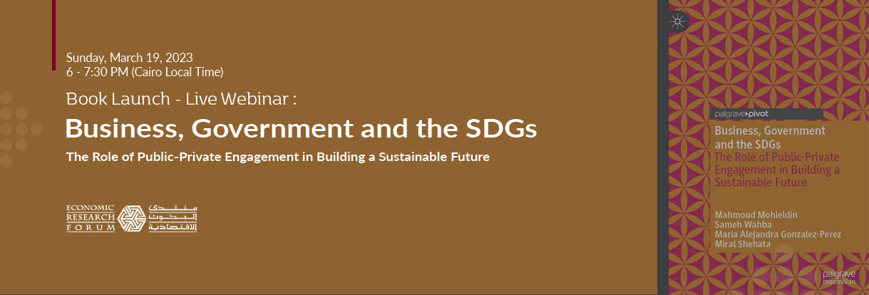 Book Launch - Live Webinar: Business, Government And The SDGs: The Role ...