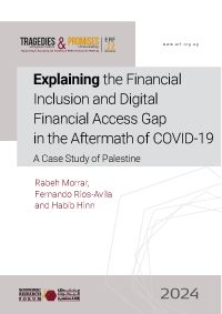 Explaining the Financial Inclusion and Digital Financial Access Gap in ...